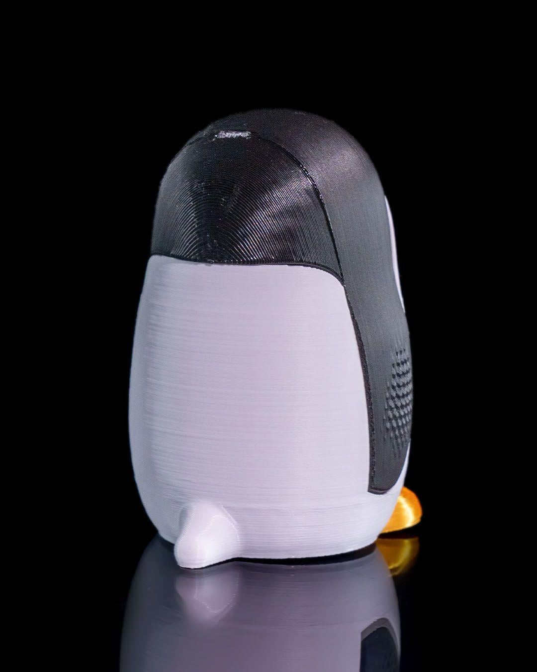 penguen-taki-kutusu-efe-55.jpg