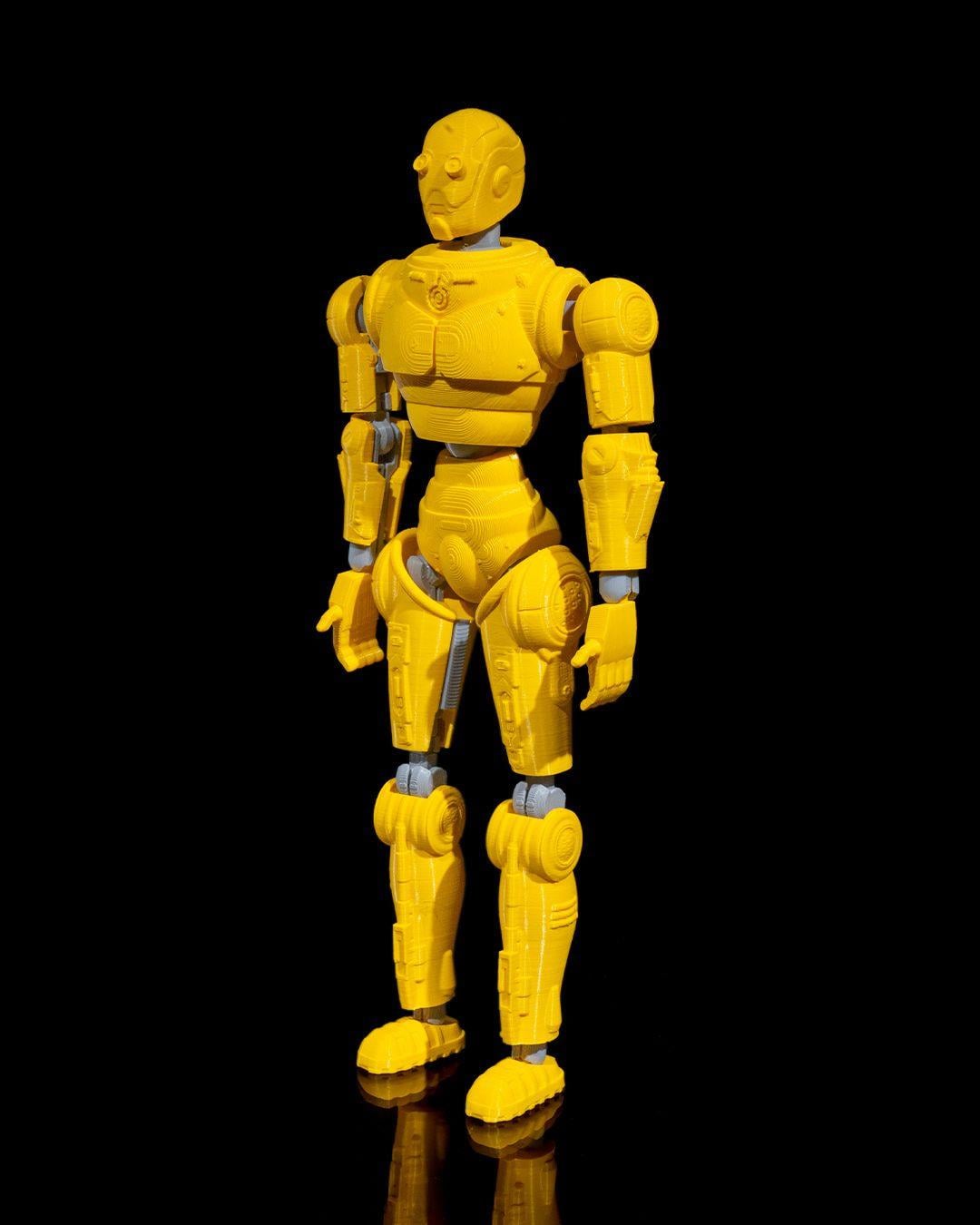 rad-free-dummy-tall-05-ae2.jpg