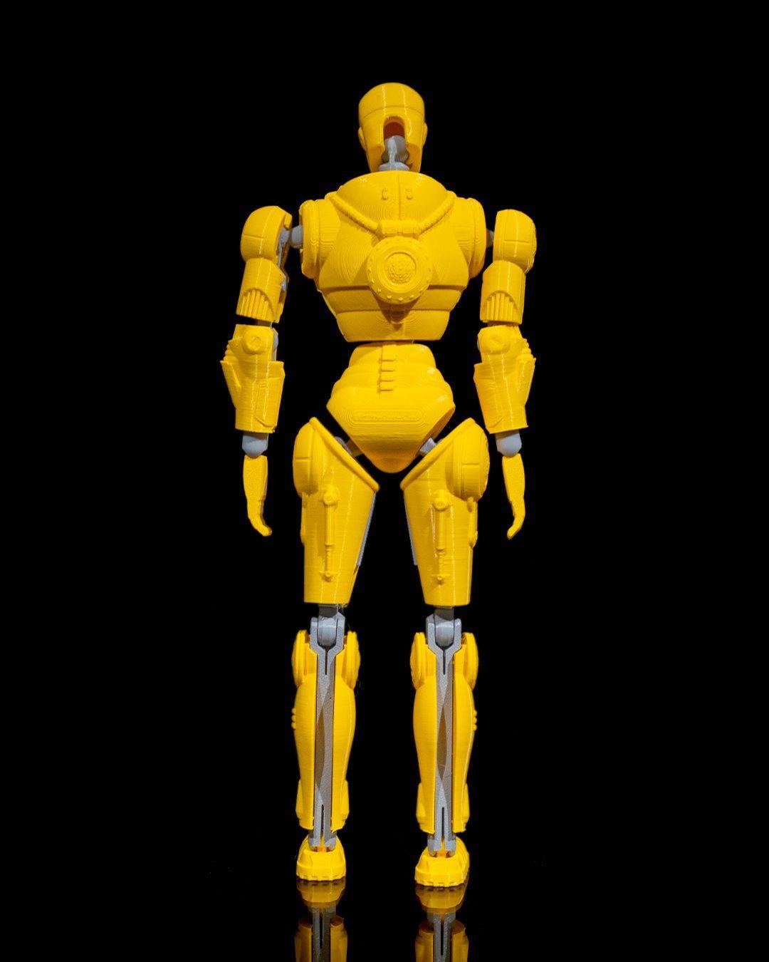 rad-free-dummy-tall-6-40cb.jpg