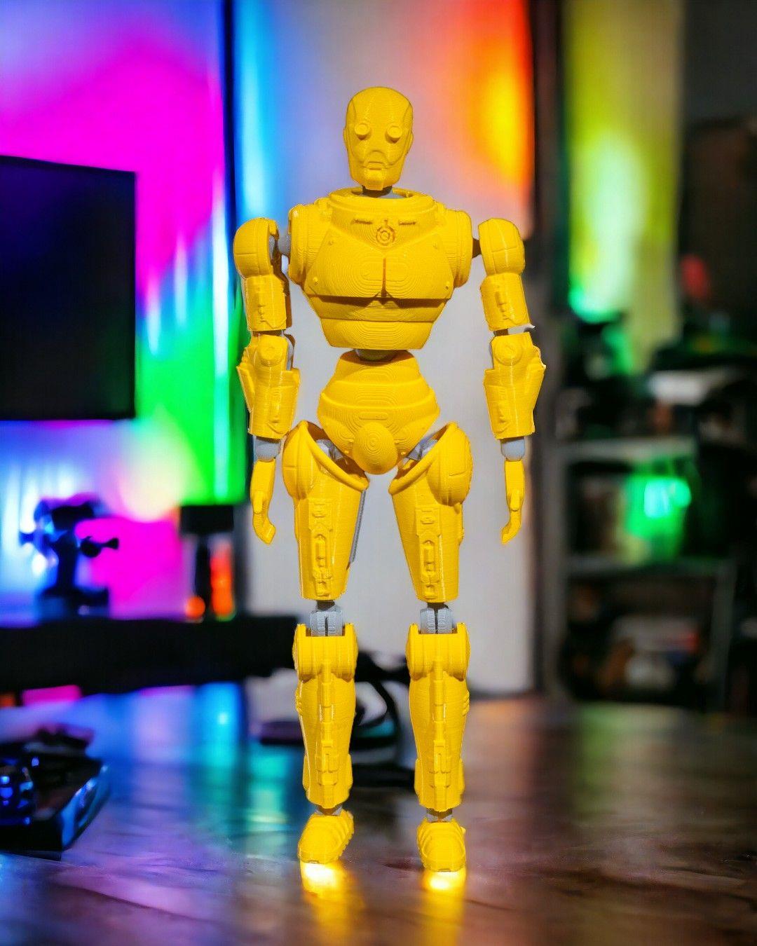 rad-free-dummy-tall-8-a185.jpg