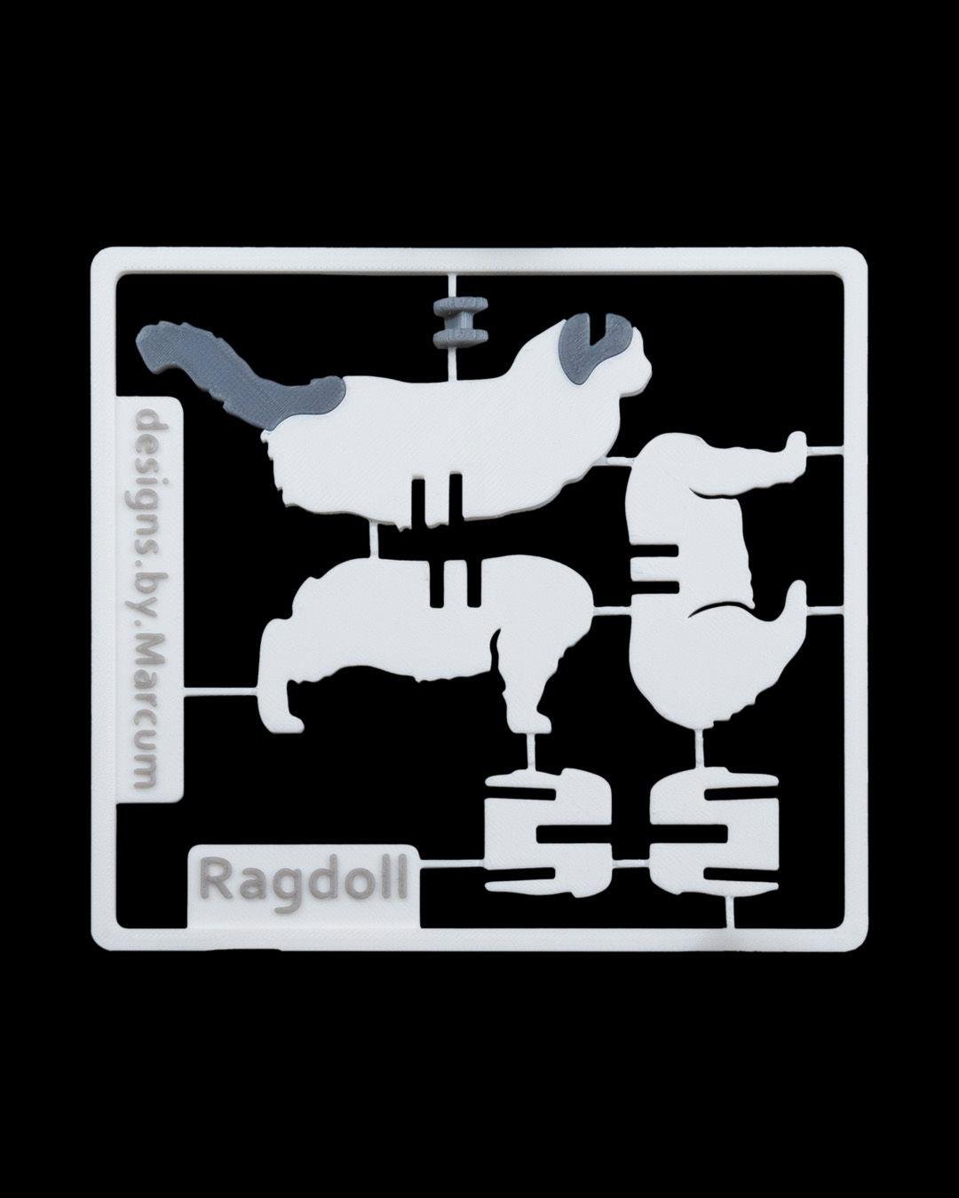 ragdoll-kit-kart-ragdoll-kit-card--87af-.jpg