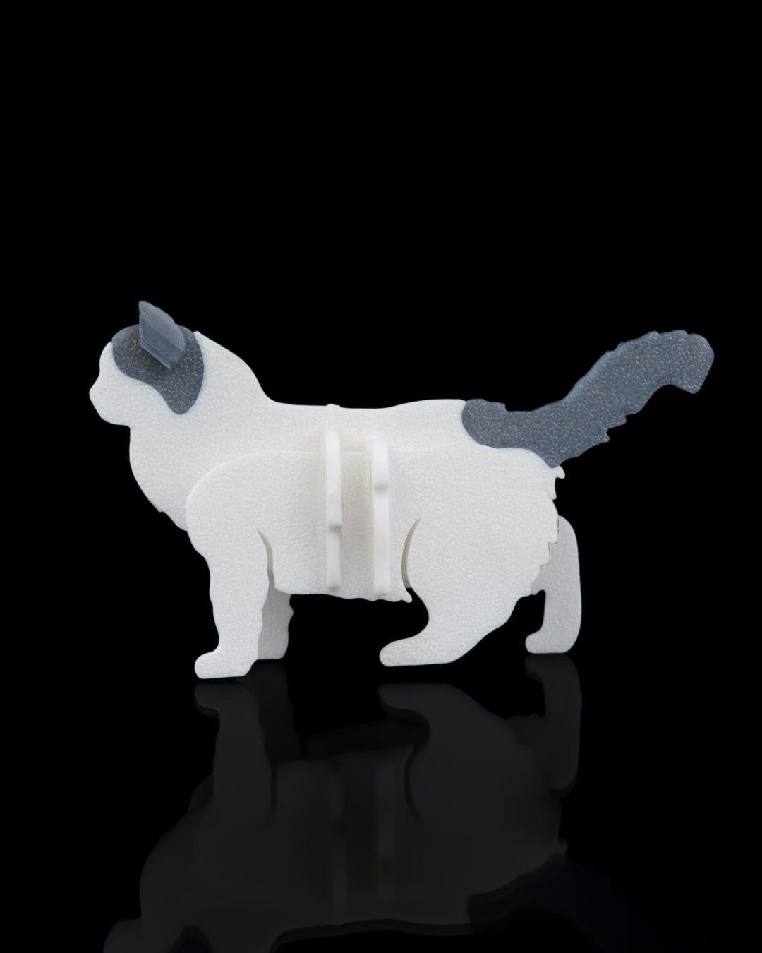 ragdoll-kit-kart-ragdoll-kit-card-4b969b.jpg
