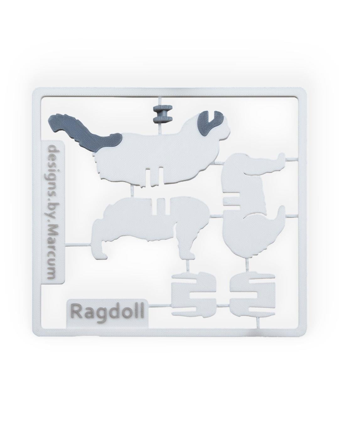 ragdoll-kit-kart-ragdoll-kit-card-4efe-a.jpg
