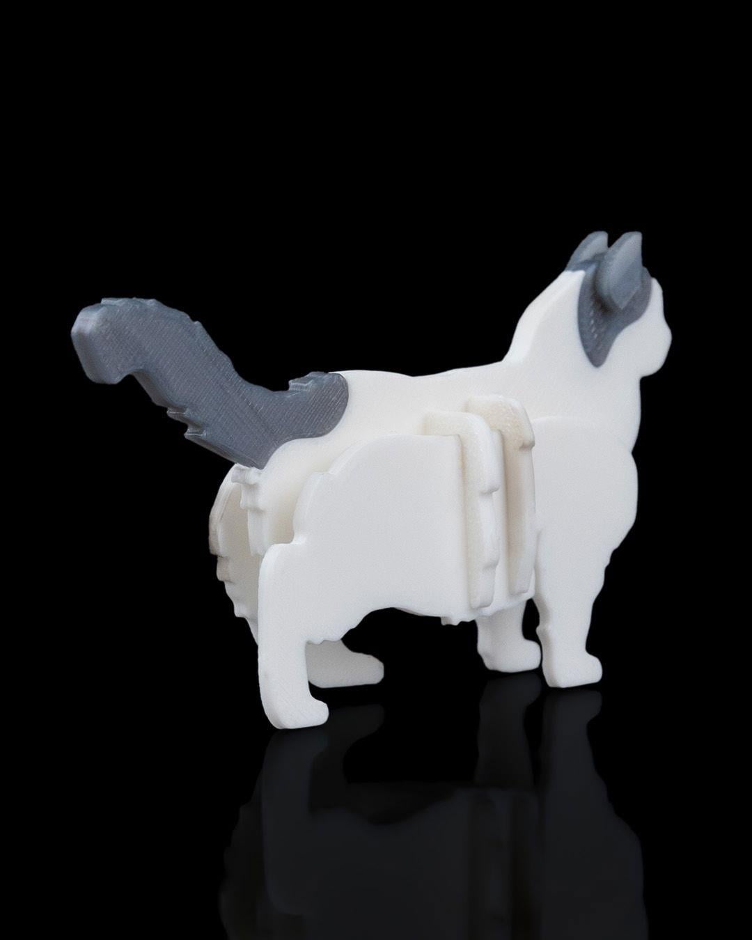 ragdoll-kit-kart-ragdoll-kit-card-85c-8f.jpg