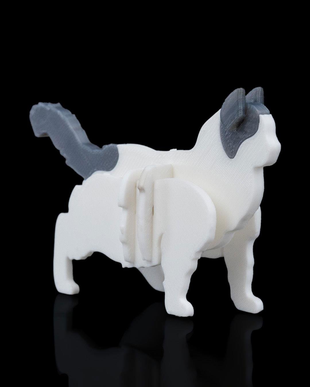ragdoll-kit-kart-ragdoll-kit-card-a7b-bf.jpg