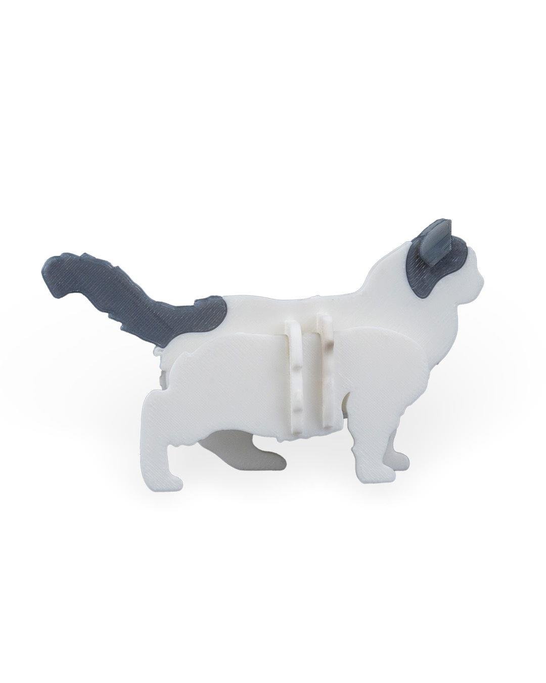 ragdoll-kit-kart-ragdoll-kit-card-cd47e5.jpg