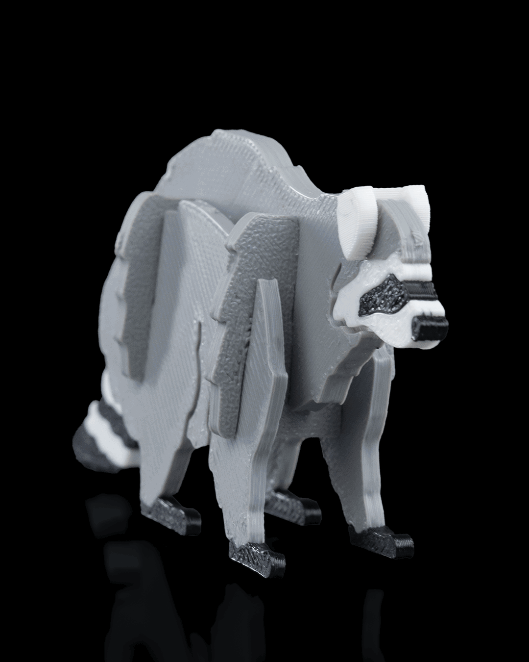 rakunda-kit-kart-9fe-83.png