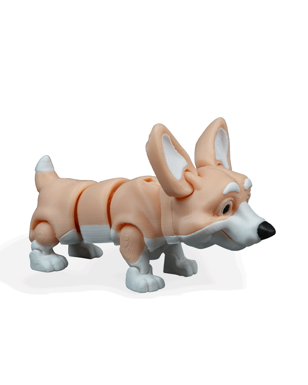rufus-the-welsh-corgi-aksesuar-0e-b1a.png