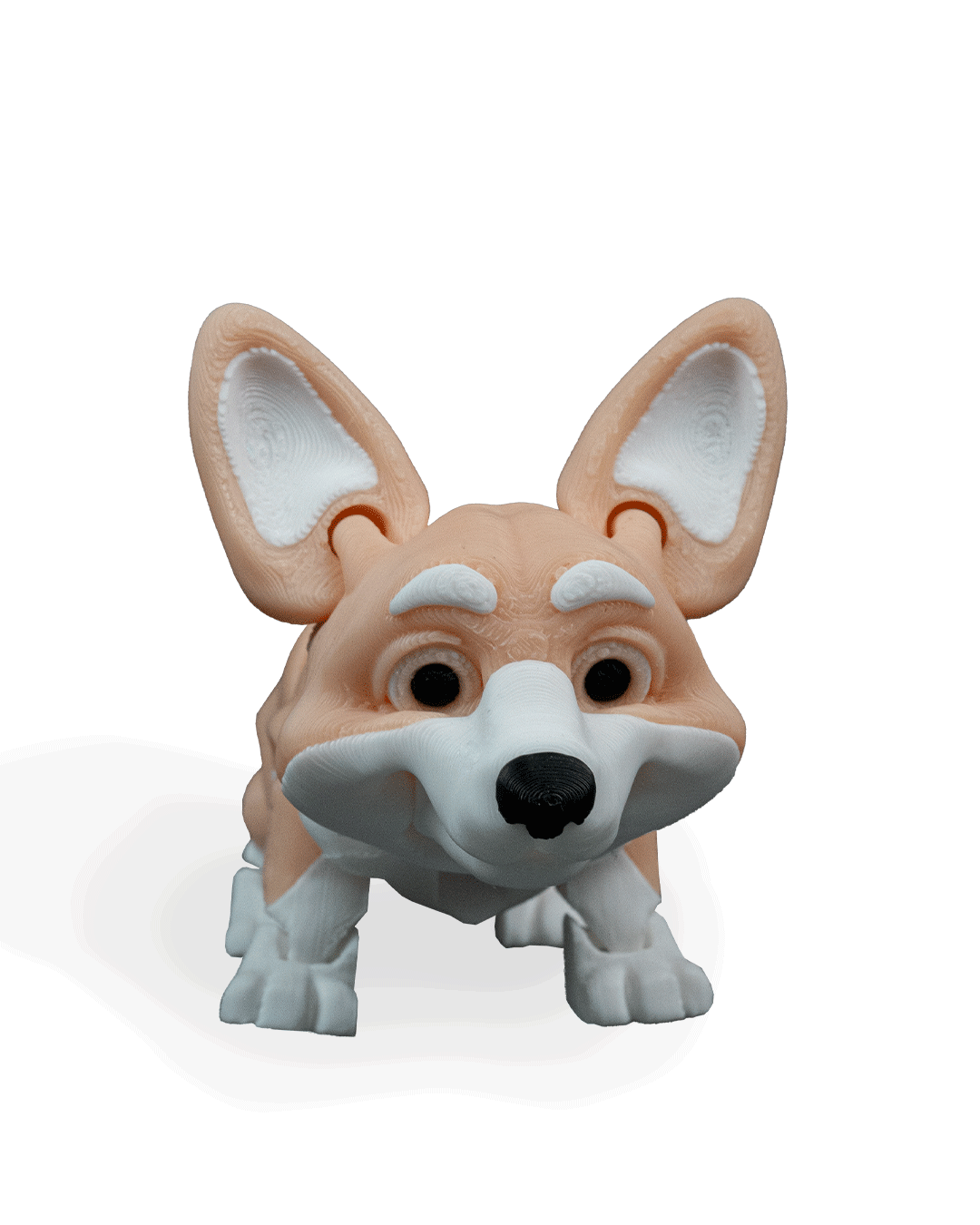 rufus-the-welsh-corgi-aksesuar-6-99b7.png