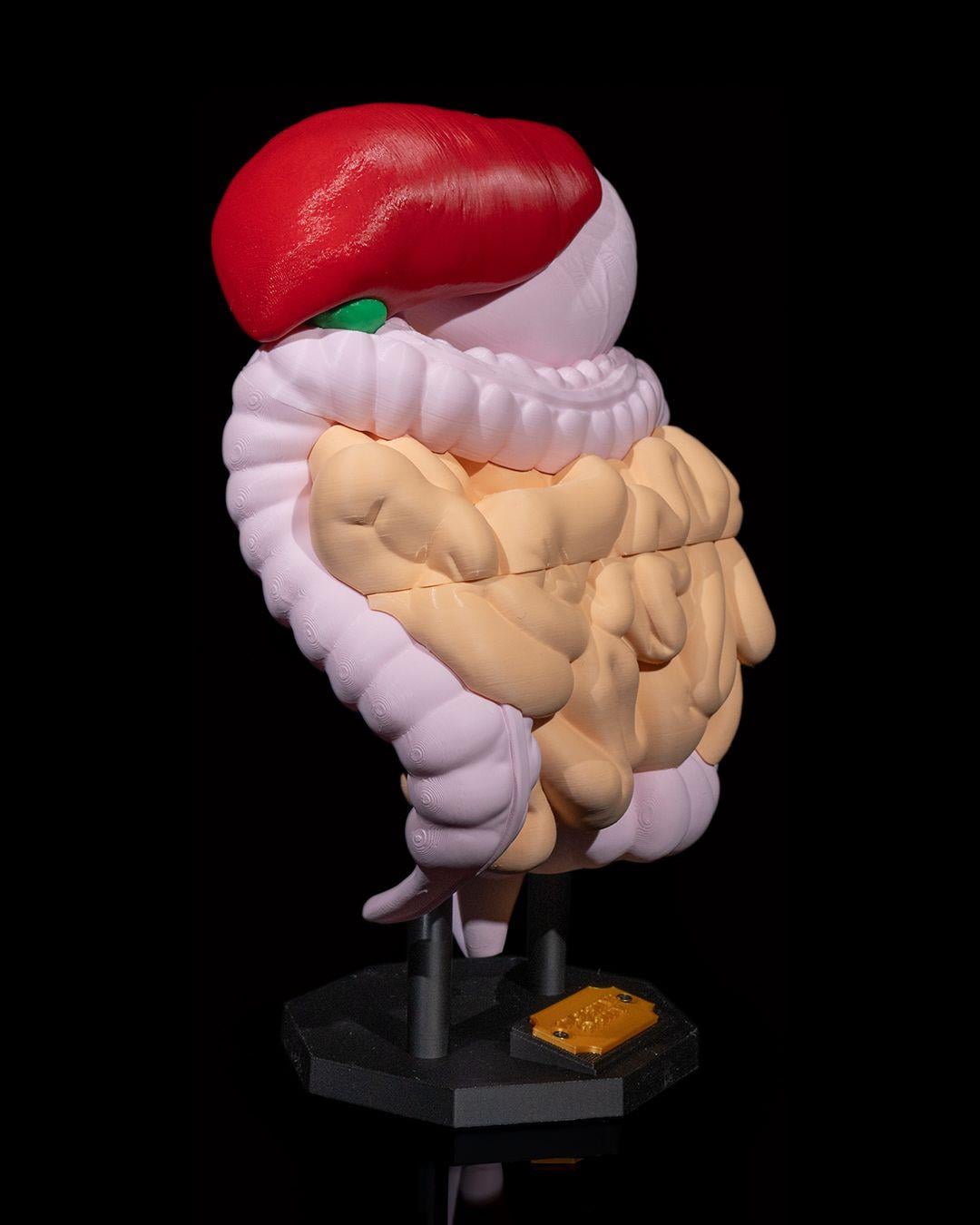 sindirim-sistemi-anatomik-model-6-b379.jpg
