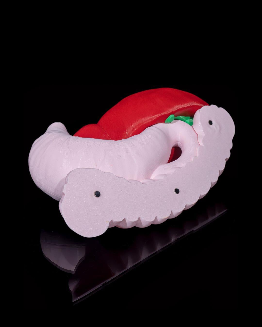 sindirim-sistemi-anatomik-model-aae42e.jpg