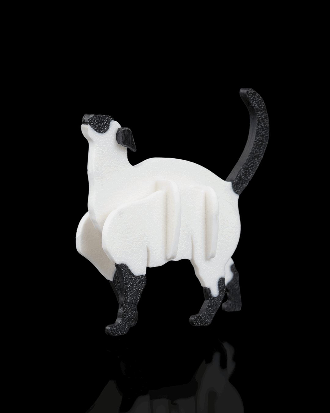 siyam-kedisi-kit-kart-siamese-cat-kit--776bba.png