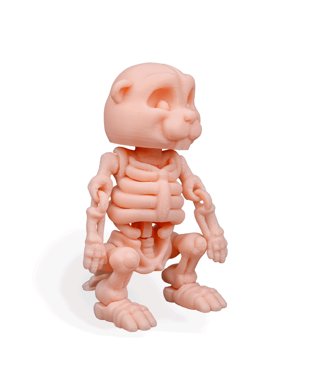 skeleton-beaver-figuru-732-44.png