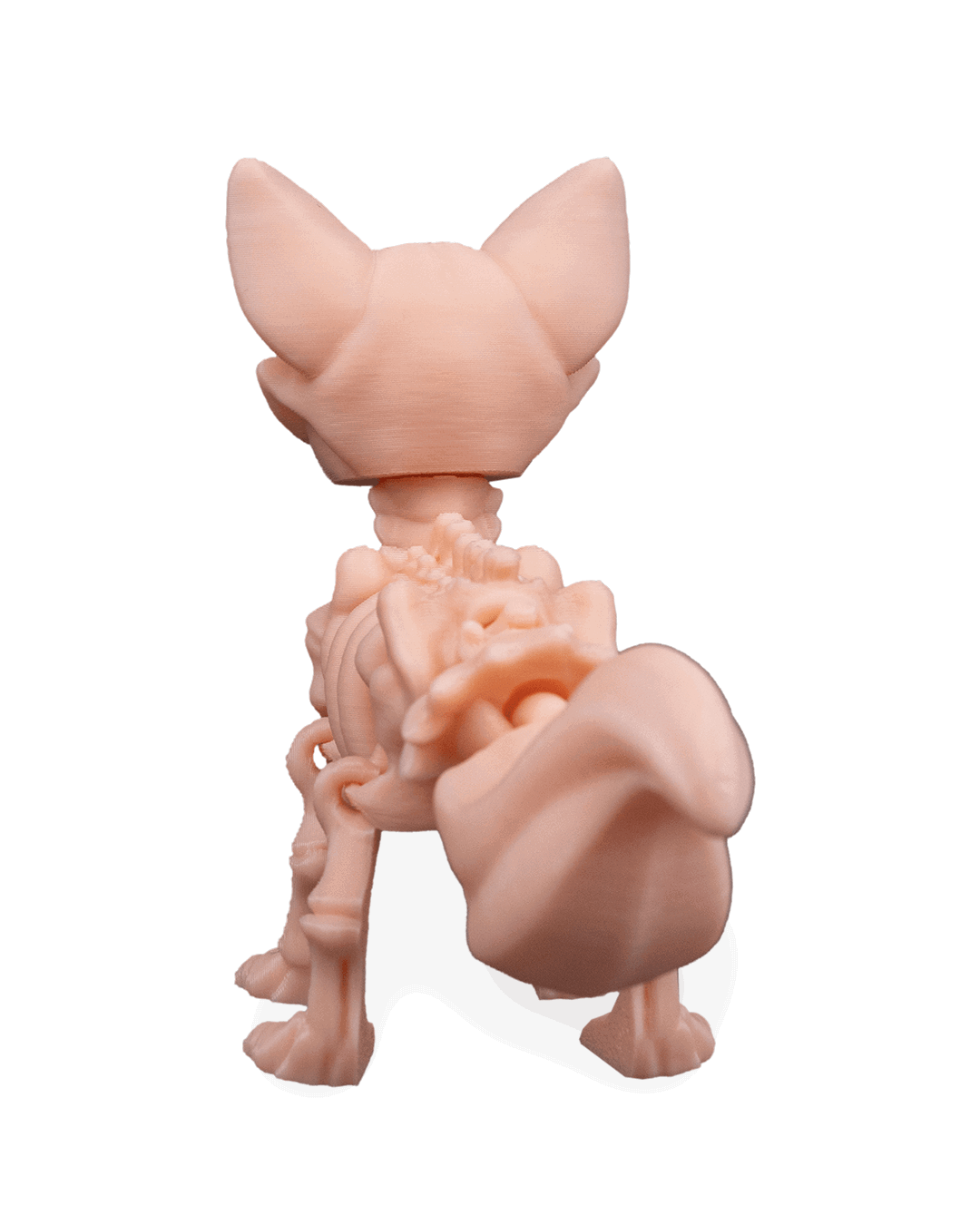 skeleton-fox-figuru-7f-c11.png