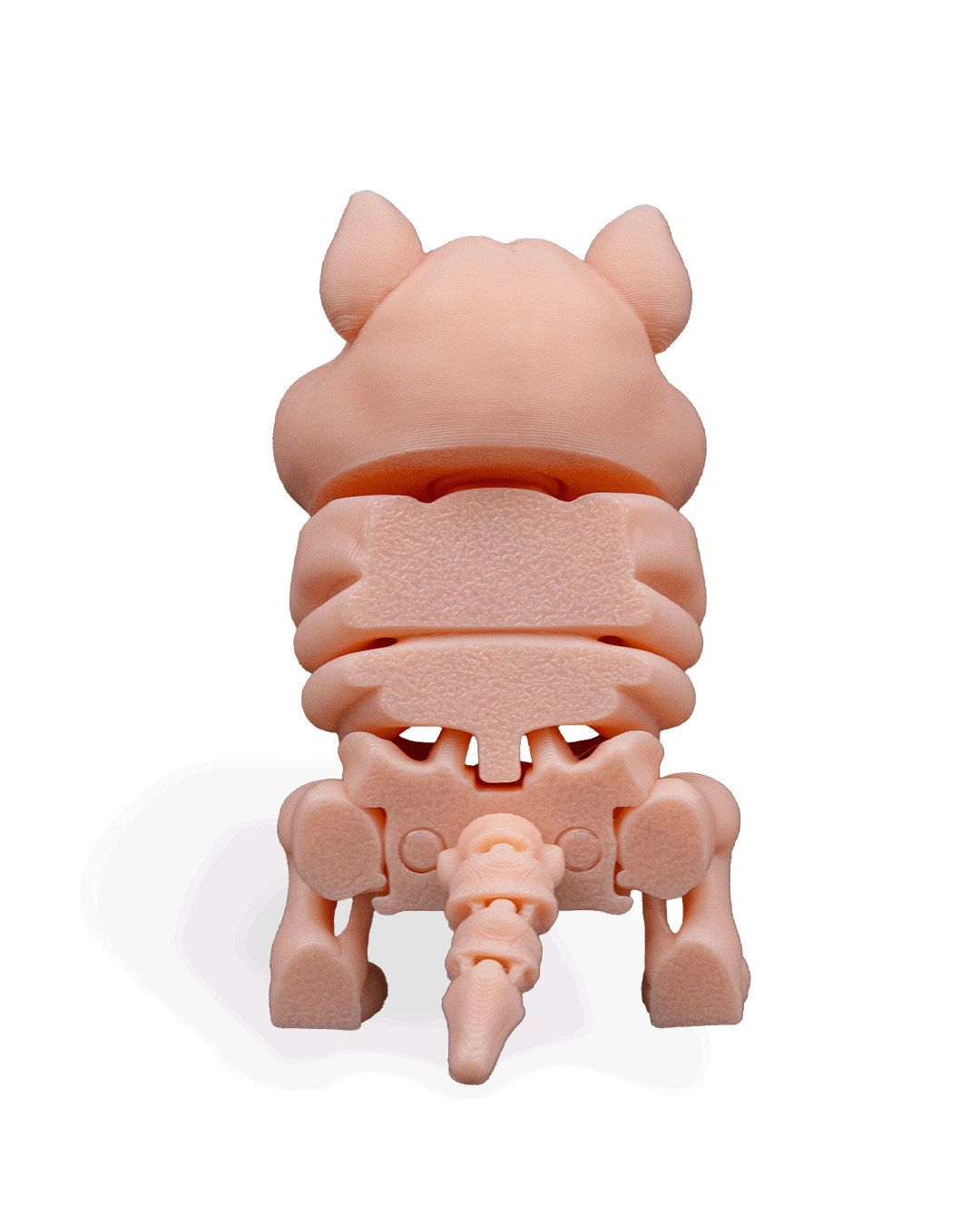 skeleton-hamster-figuru-ecde87.png