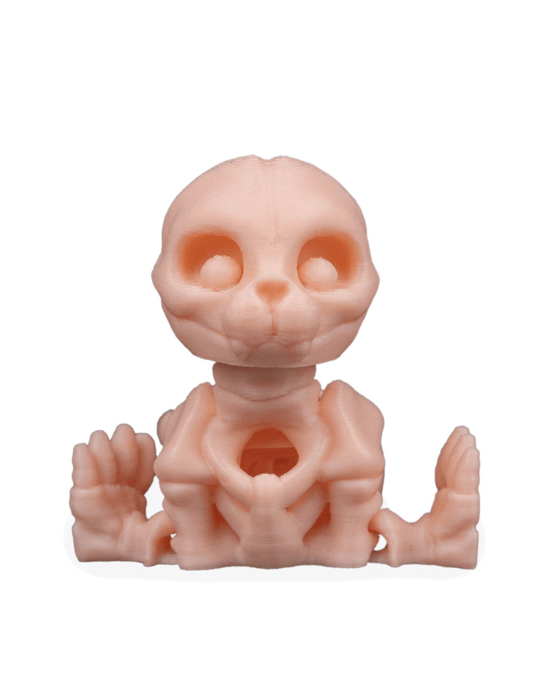 skeleton-seal-figuru-3b-1c3.png