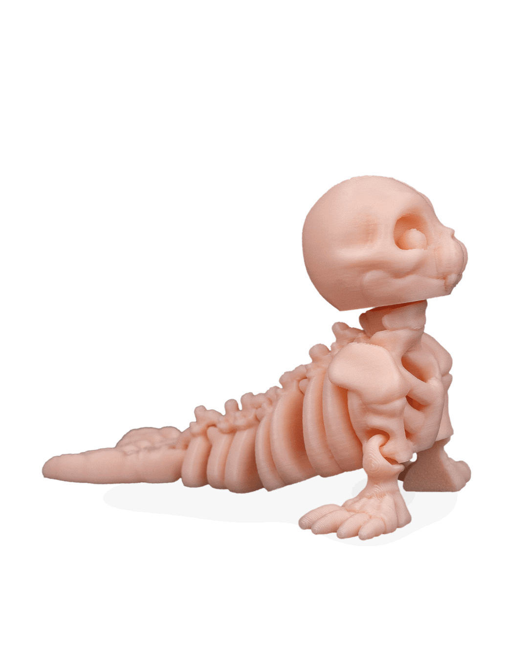 skeleton-seal-figuru-7-7be5.png