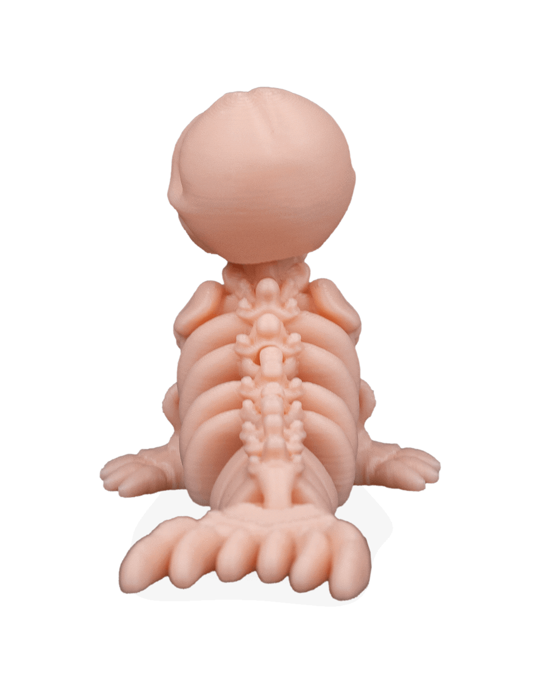 skeleton-seal-figuru-8e926c.png