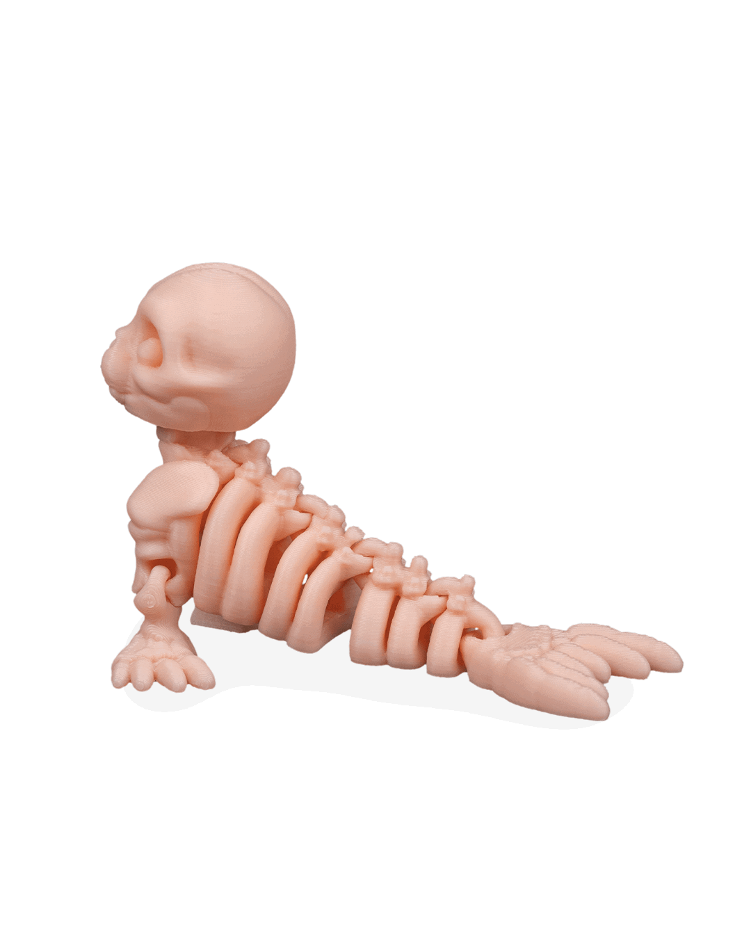 skeleton-seal-figuru-b4f-9c.png