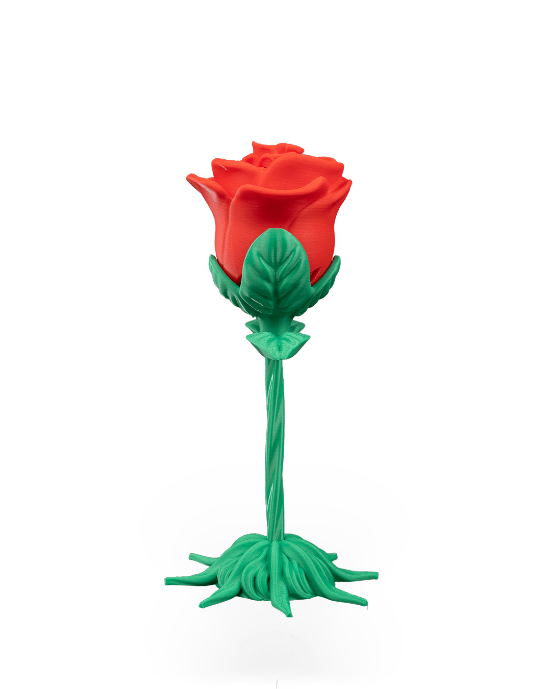 Sonsuz Çiçek Açan