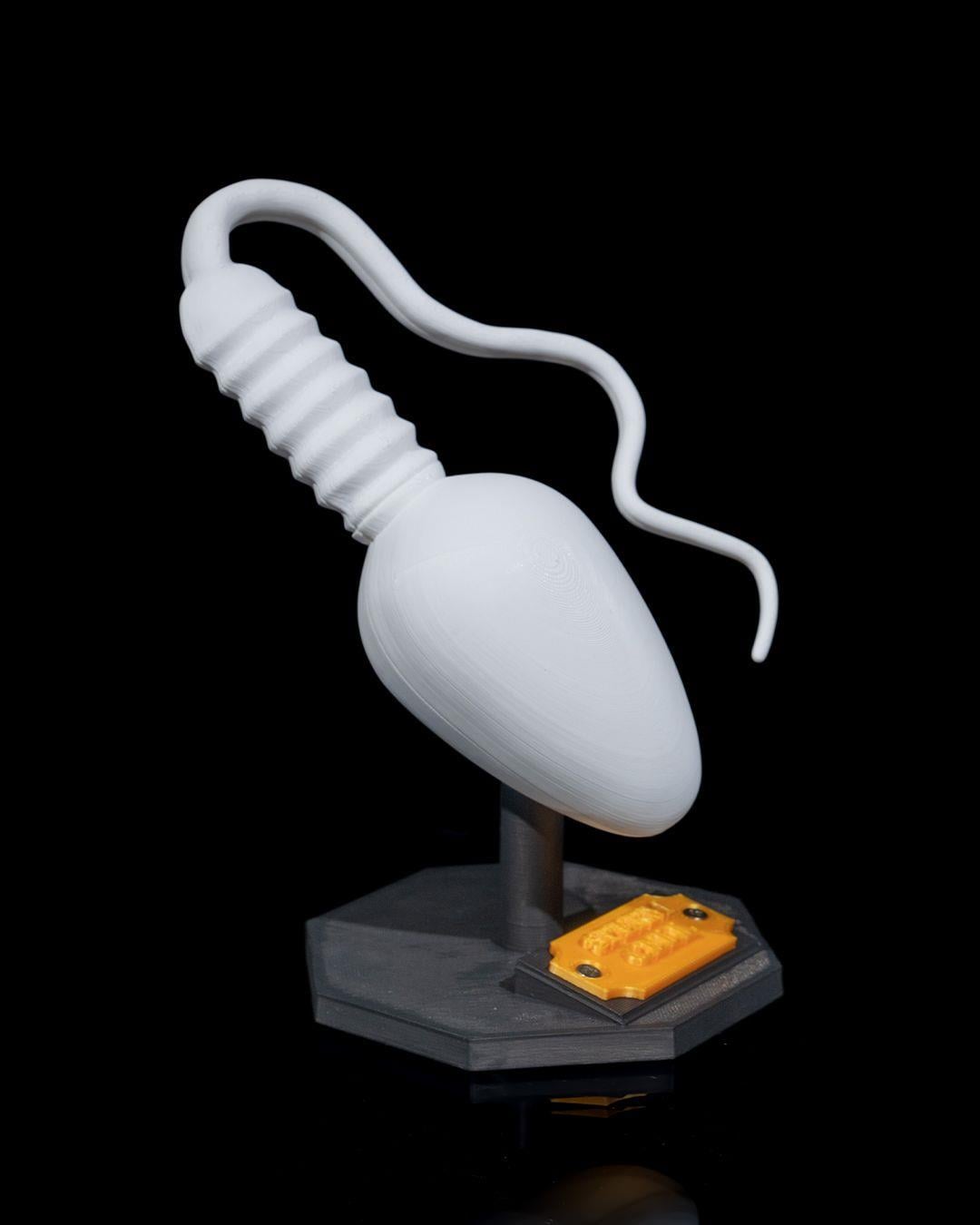 sperm-hucresi-modeli-1-a05a.jpg
