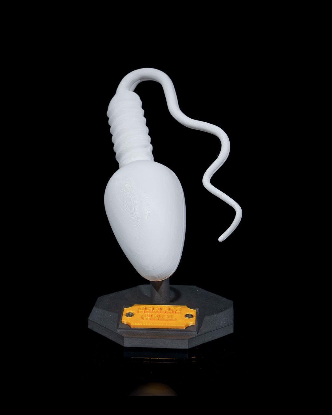 sperm-hucresi-modeli-574-b0.jpg