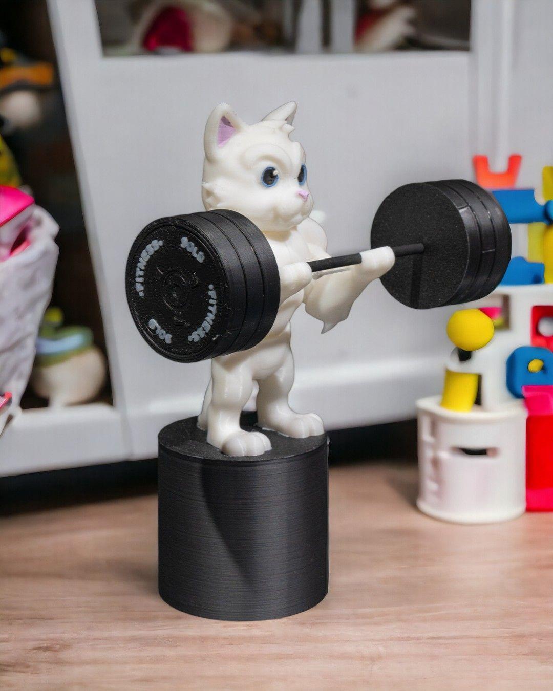 Sporcu Kedi Figürü