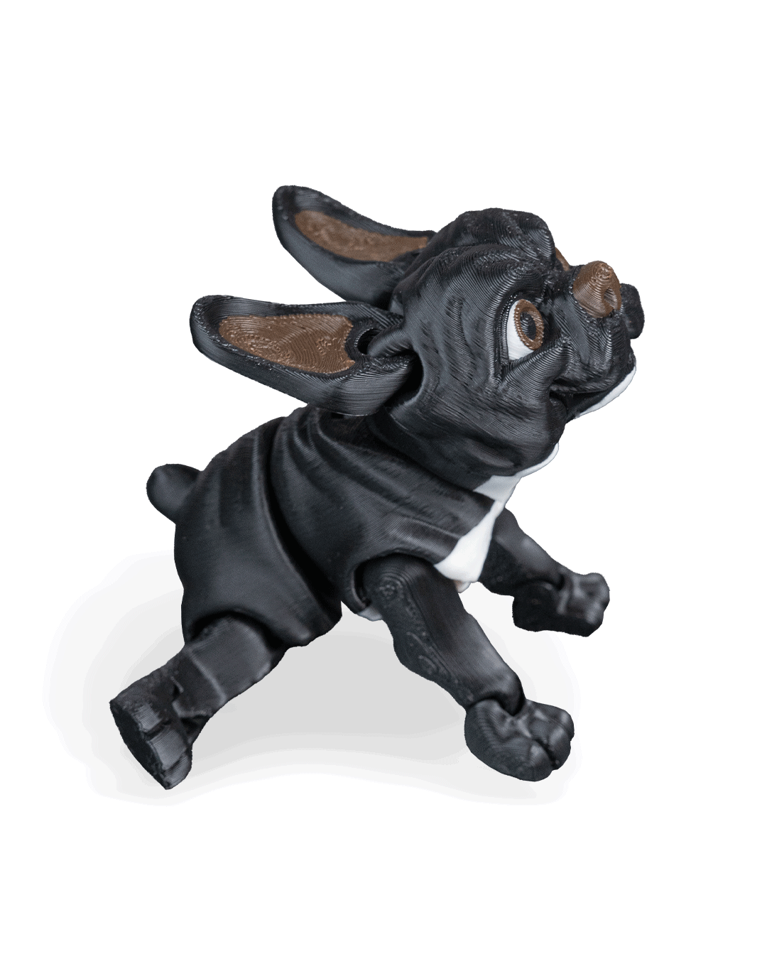 stella-the-french-bulldog-aksesuar-79f-a2.png