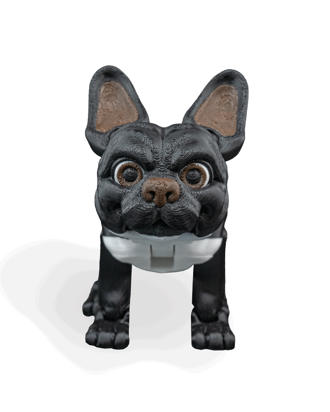 stella-the-french-bulldog-aksesuar-957815.png