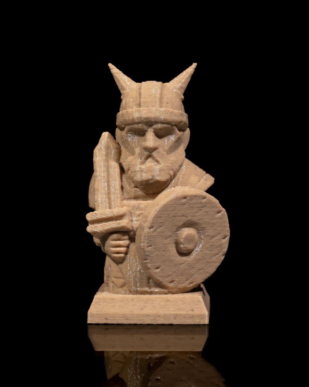 viking-piyon-87f1-9.jpg