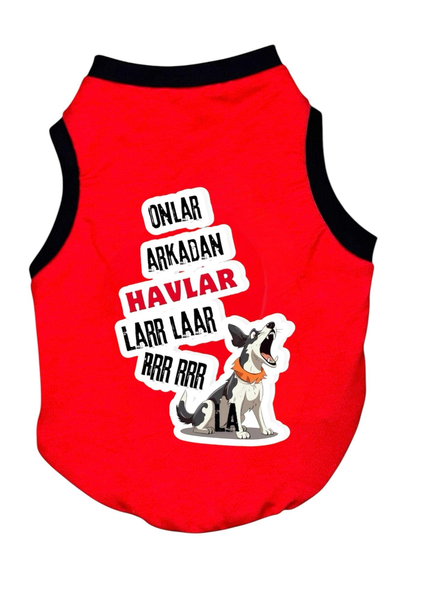AP229312 HAV HAV ATLET