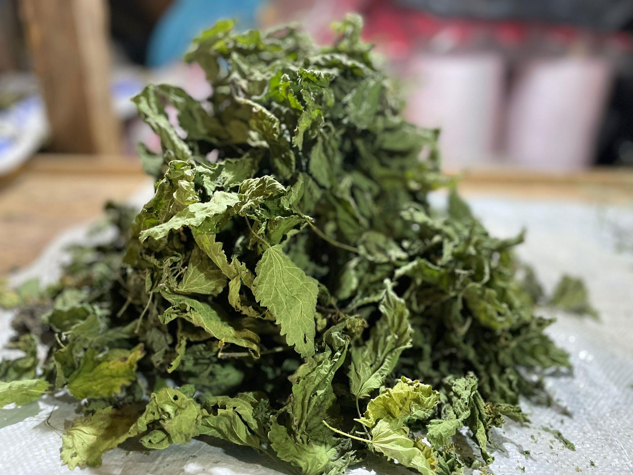 Isırgan Otu Kurutulmuş 100 gr