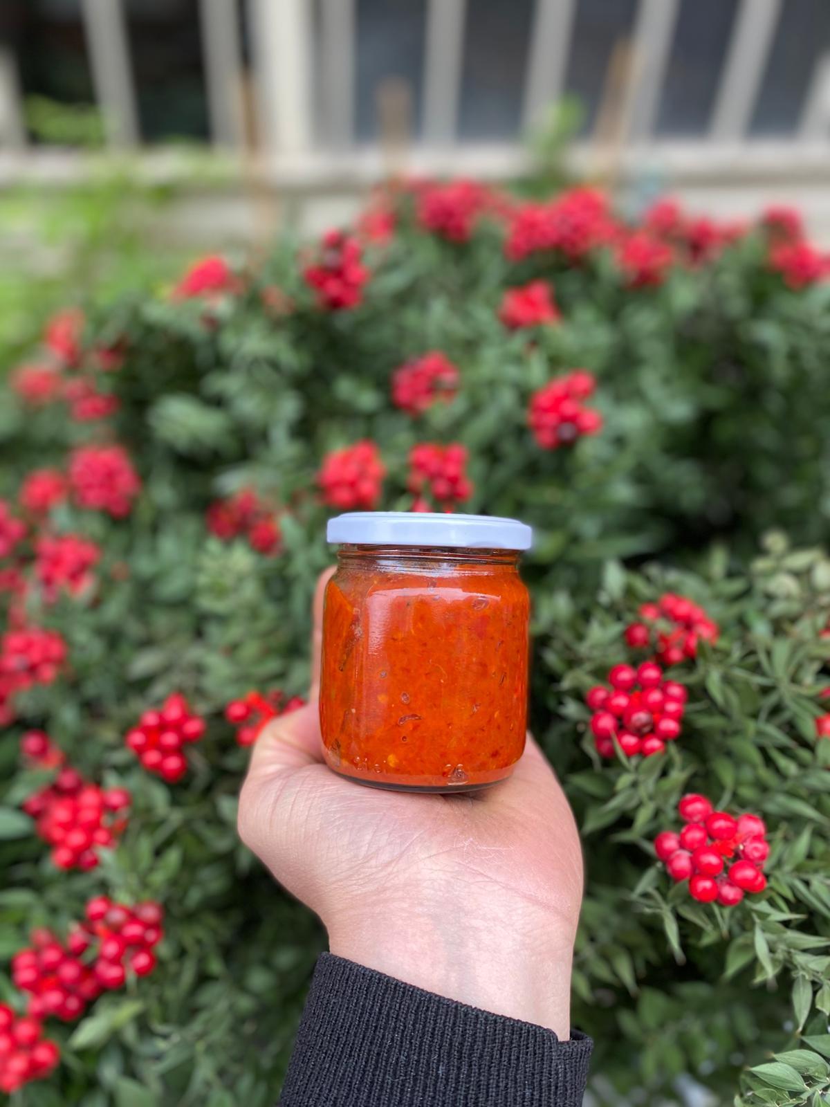 ACI AJVAR SOS