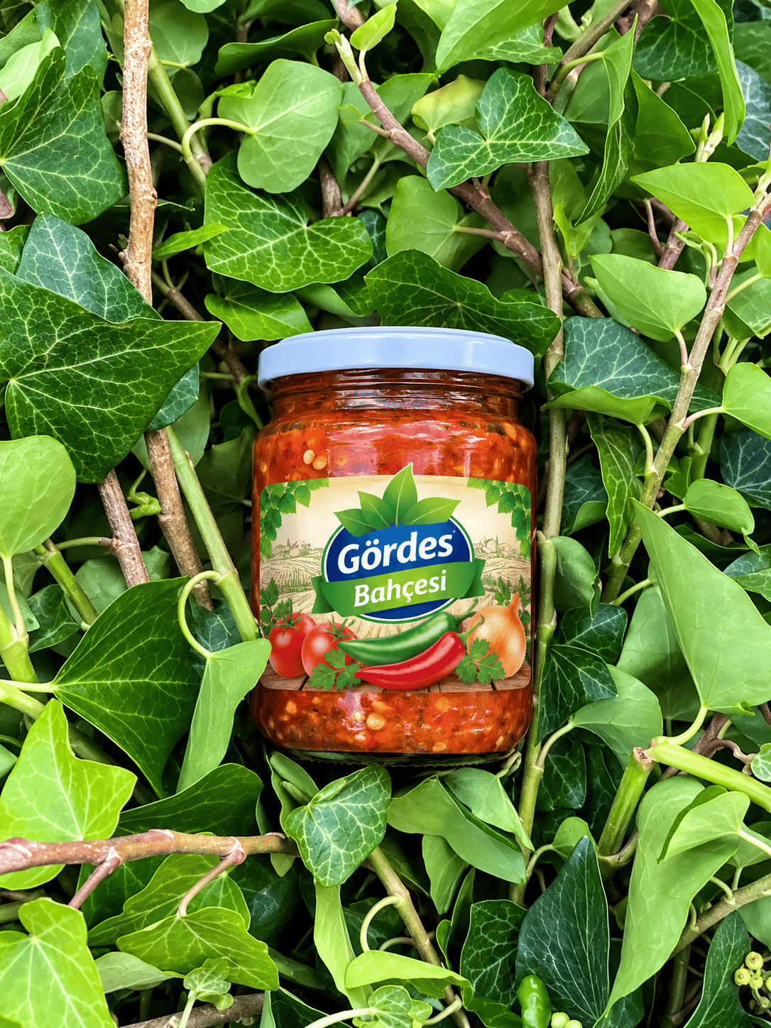 KÖZLEME BİBER