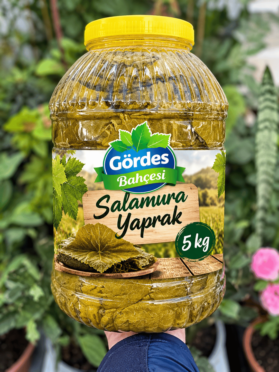SALAMURA ASMA YAPRAĞI 5 KG