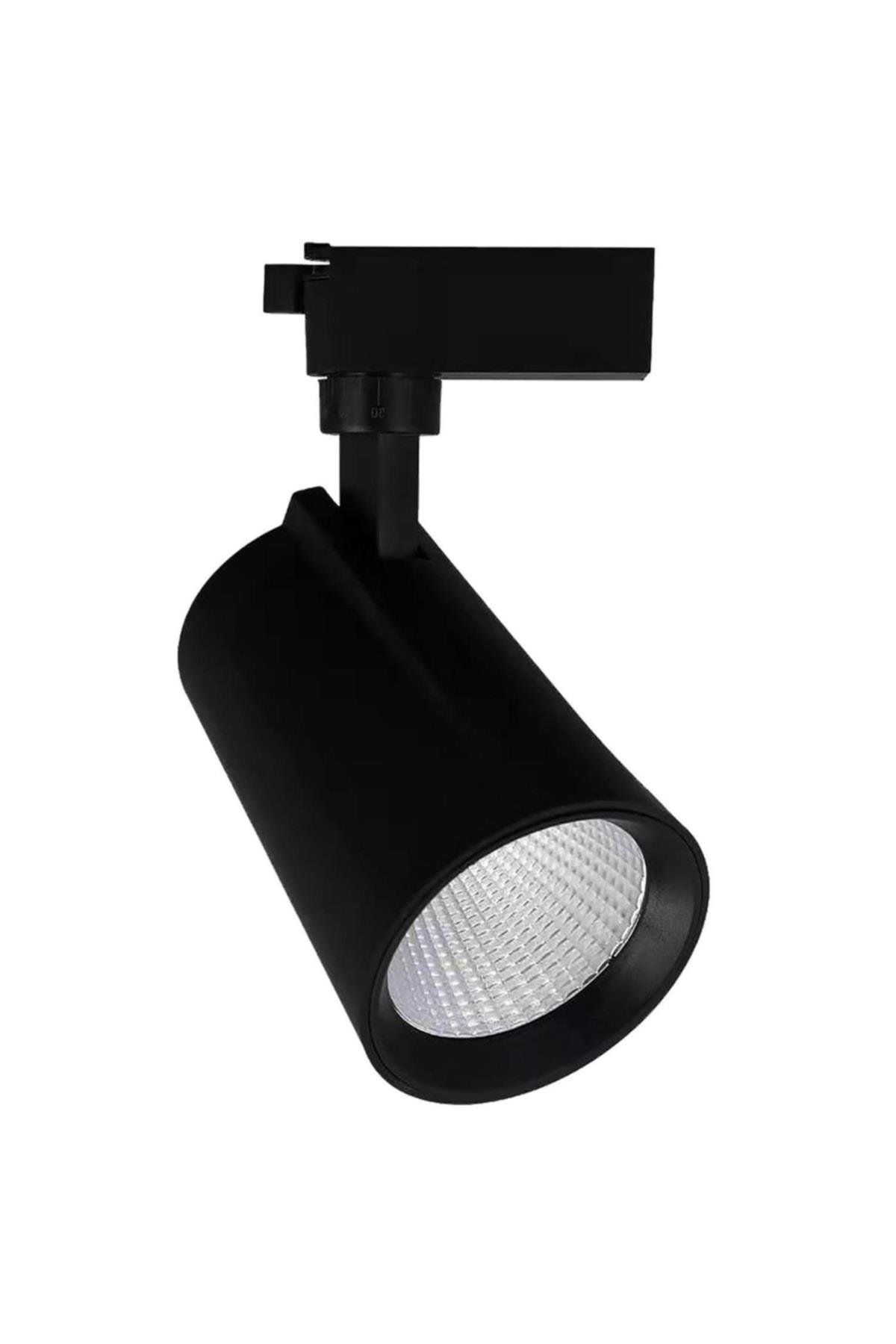 Global Ktl139 30w 3000k Günışığı Led Ray Spot Armatür