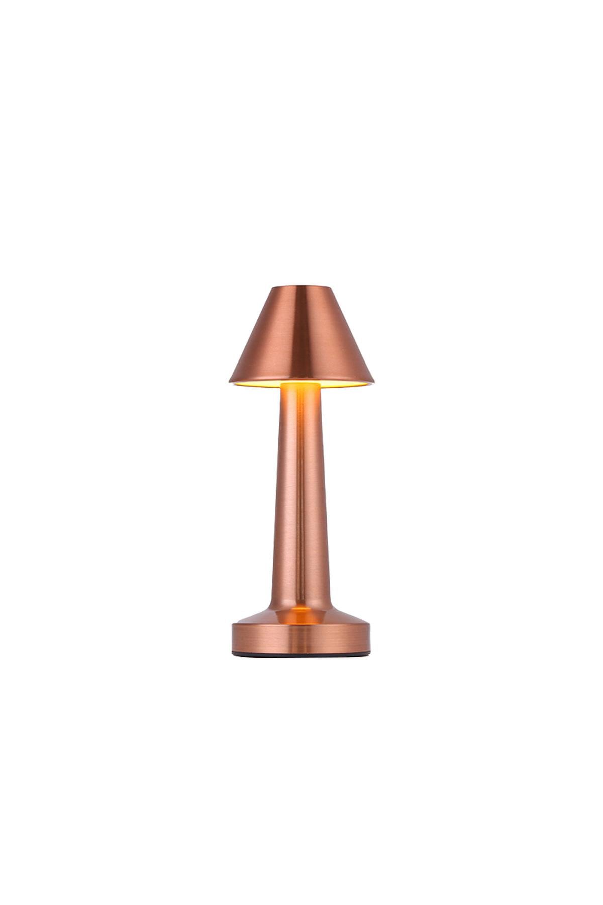 KML108 Dokunmatik Rose Masa Lambası CCT (3 Renk Opsiyonlu)