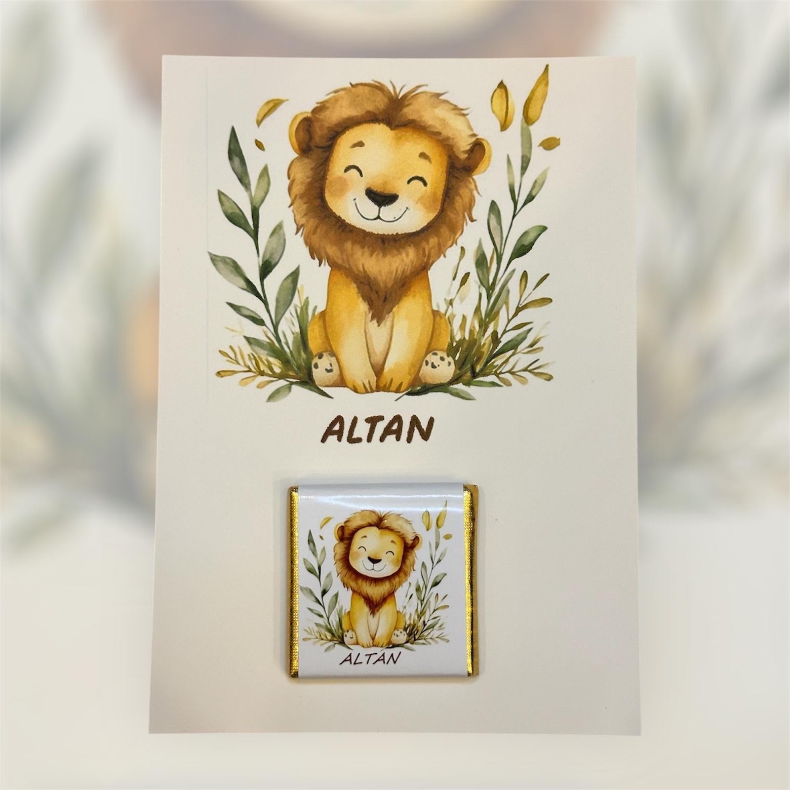ASLAN KRAL