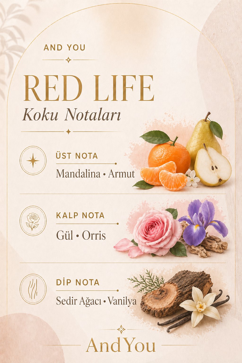 Red Life 65 ml EDP Valentın Roma Kadın Parfüm
