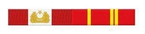 Single Sword Şerit Rozet