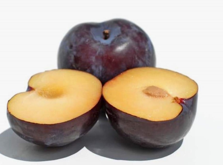 ERİK ANJELİK KG