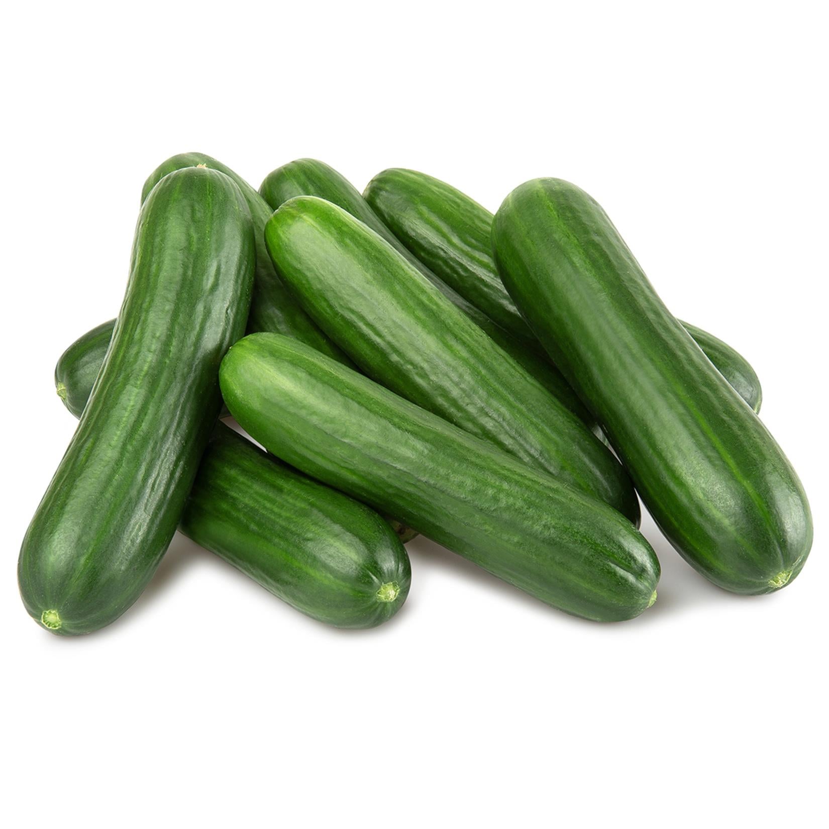 SALATALIK KG