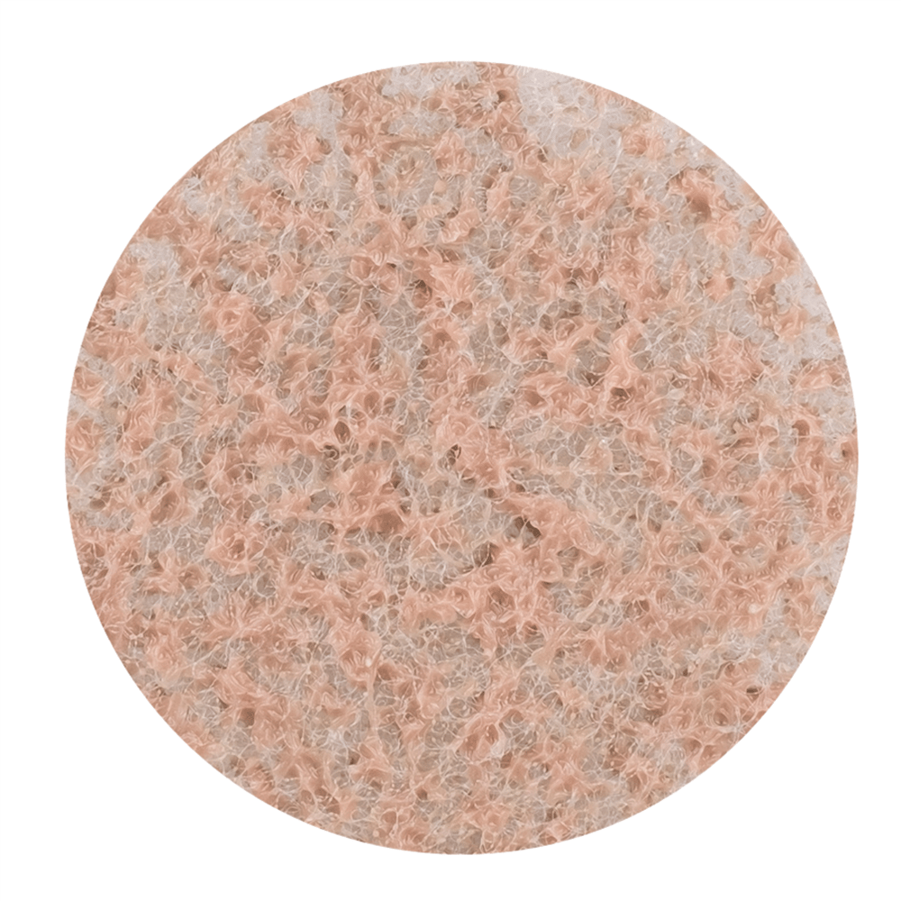 PolishMaster Q100 Diamond Pad #200 - 15271103
