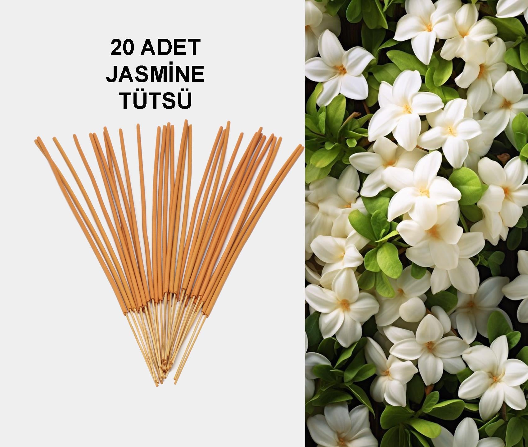 JASMİNE TÜTSÜ