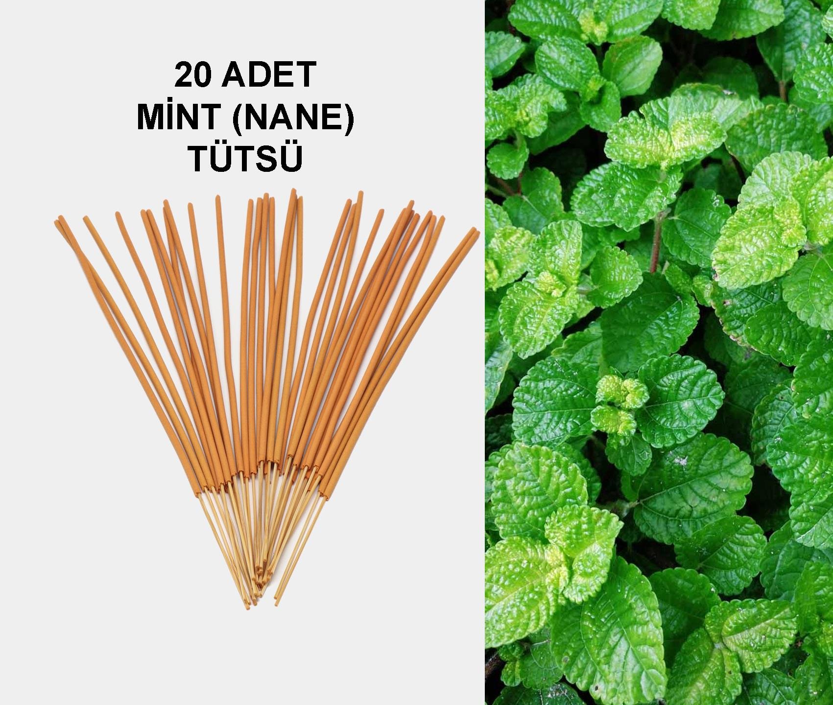 MİNT TÜTSÜ (NANE)
