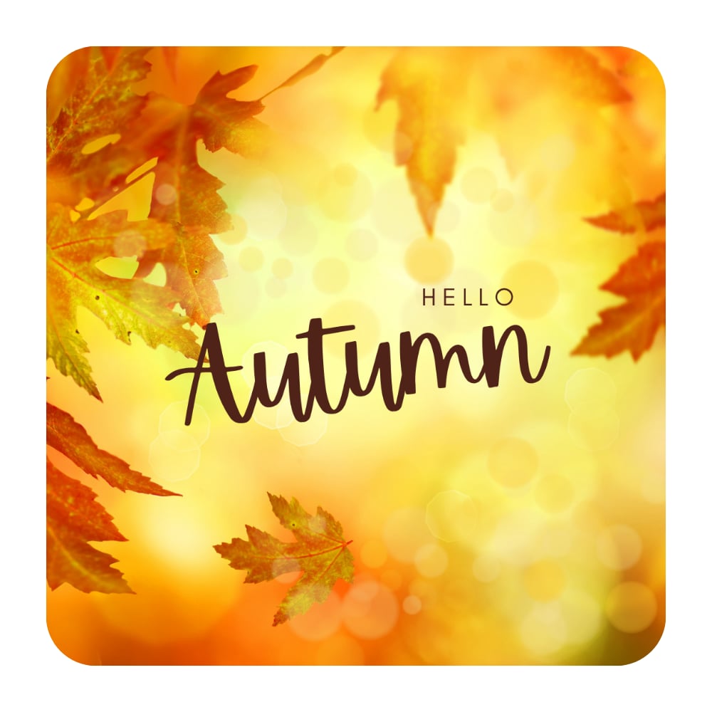 Mevsim Temalı 8'li Ahşap Bardak Altlığı