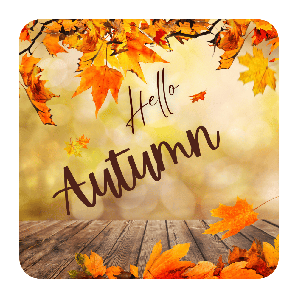 Mevsim Temalı 8'li Ahşap Bardak Altlığı