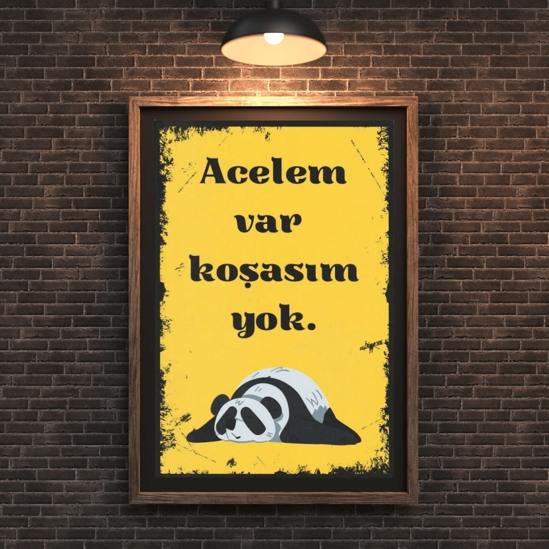 30x20 cm Acelem Var Koşasım Yok