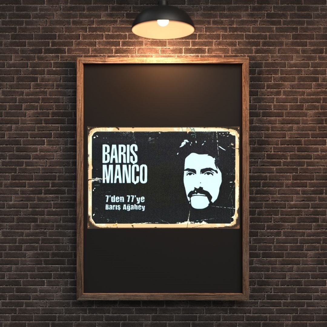 30x20 cm Barış Manço 3