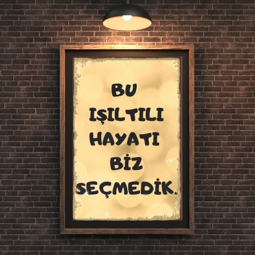 30x20 cm Bu Işıltılı Hayatı Biz Seçmedik